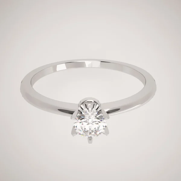 ANILLO DE COMPROMISO ''EXCITACIÓN''